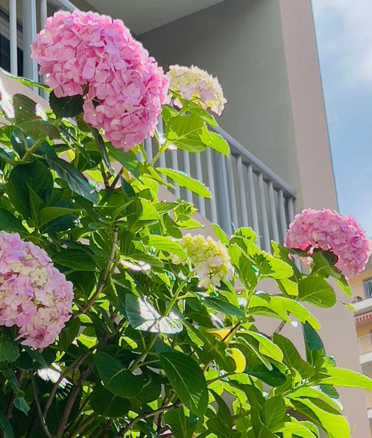 Sun Beach Ajaccio  Ngoại thất bức ảnh