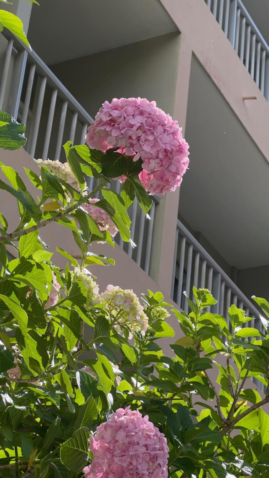 Sun Beach Ajaccio  Ngoại thất bức ảnh